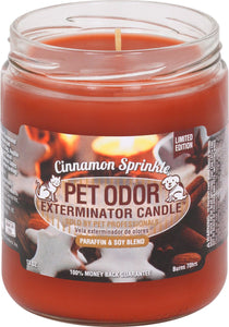 Cinnamon Sprinkle #01576
