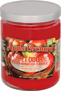 Apple Orchard #06305