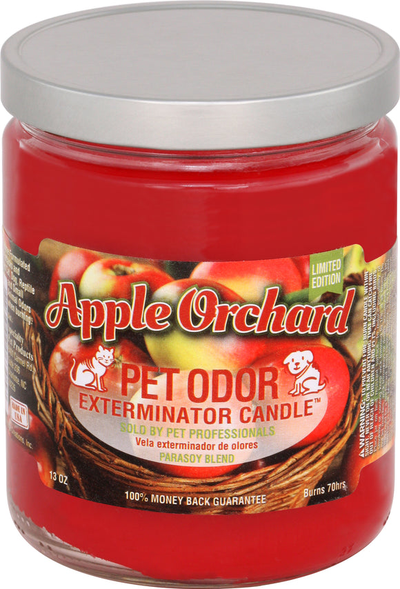 Apple Orchard #06305