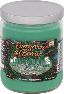 Evergreen & Berries #01112