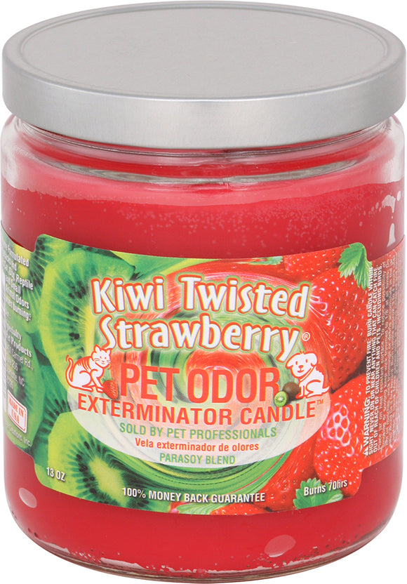 Kiwi Twisted Strawberry #06283