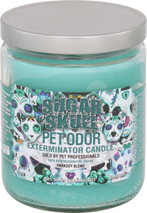 Sugar Skull #06265